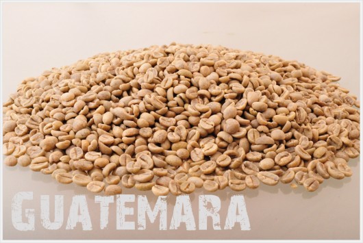 グアテマラ コーヒー生豆