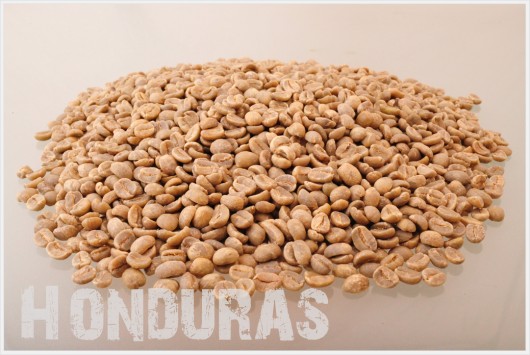 ホンジュラス コーヒー生豆