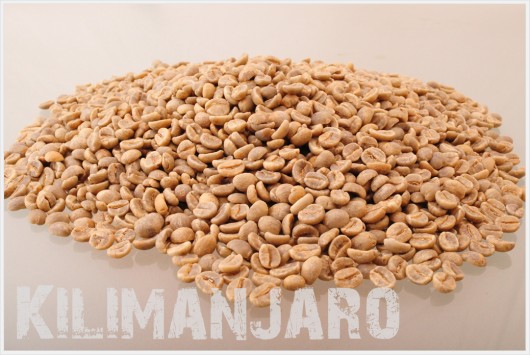 キリマンジャロ コーヒー生豆