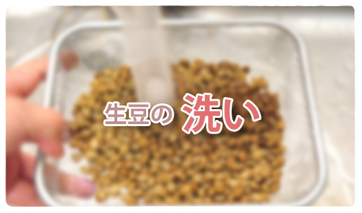 生豆の洗いタイトル