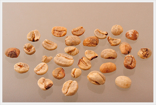 キリマンジャロ生豆
